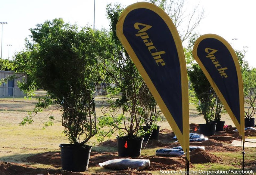 Apache Donates More Than 61,000 Trees To 54 Organizations