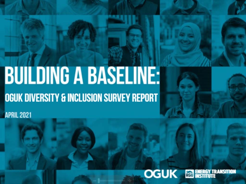 Building a Baseline: Diversity & Inclusion in the UKCS Survey Report
