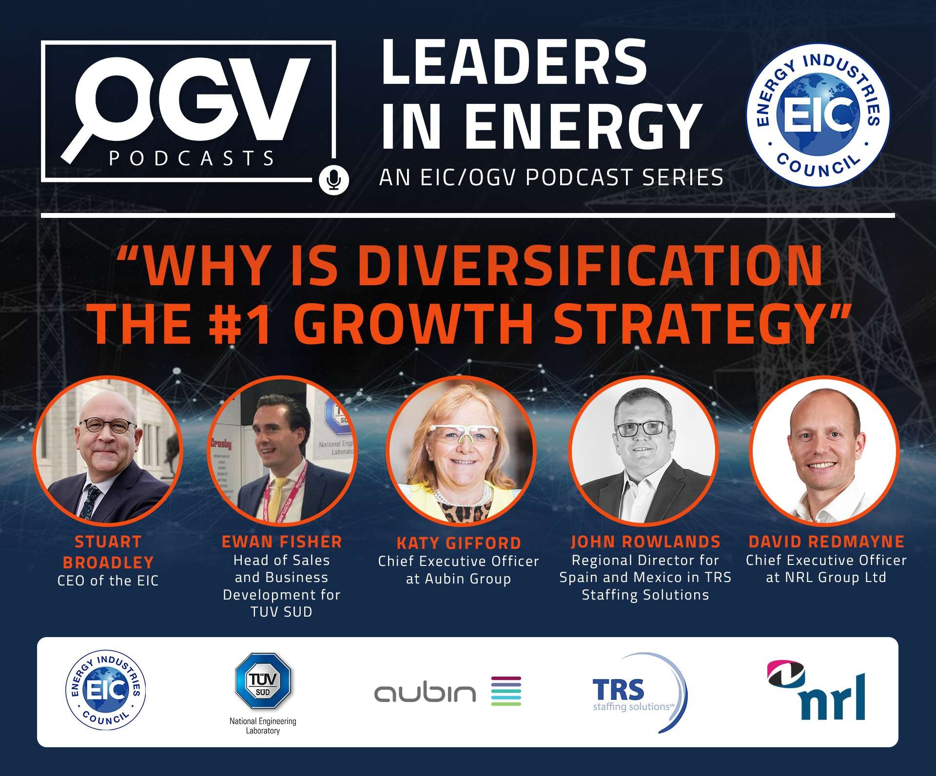 "Why is diversification the #1 growth strategy" Leaders in Energy