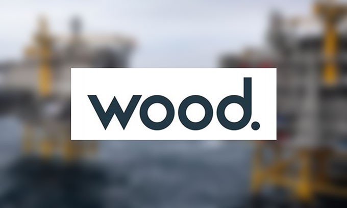 Wood cuts debt with $305 million nuclear unit sale